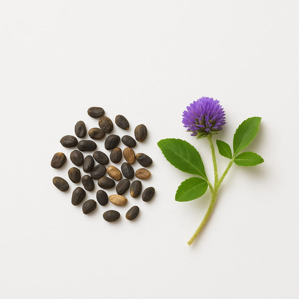 3% Bakuchiol – A retinol intelligensebb alternatívája